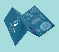 In Brochure