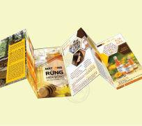 In Brochure